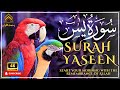 SOOTHING RECITATION OF 𝐒𝐔𝐑𝐀𝐇 𝐘𝐀𝐒𝐄𝐄𝐍 (𝐘𝐀𝐒𝐈𝐍) (سورة يس)Rahmat Al-Quran #surahyaseen #surah #surahyasin