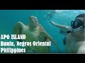 Apo Island Dauin Negros Oriental Philippines (Scenery and Sea Turtles)