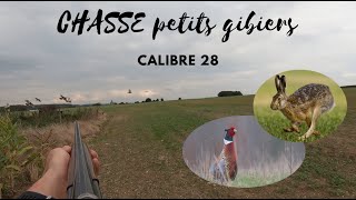 CHASSE aux petits gibiers au calibre 28 (perdrix, faisans, lièvres)