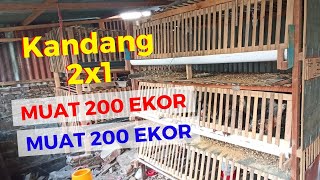 Kandang ayam box kapasitas 200 ekor