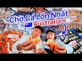 Chợ Cá Lớn Nhất Úc 🇦🇺 Sydney Fish Market | Hải Sản Tươi Ngon