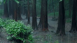 The beautiful little river is raining(14) , sleep, relax, meditate, study, work, ASMR