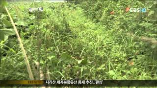 한국기행 - Korea travel_함평_황금박쥐가 모여든 까닭은?_20110831_EP03_#001