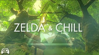 Zelda & Chill ▸ Lost Woods ▸Mikel Lofi Remix