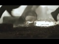 Gallows - London Is The Reason