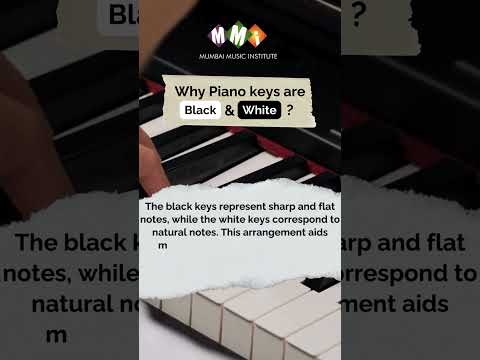 What do the white keys on a piano represent?