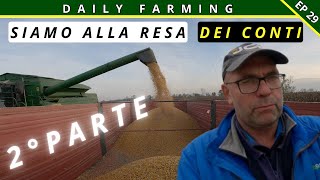 ** TREBBIATURA 2024 ** | SIAMO ALLA RESA DEI CONTI | DAILY FARMING 29 seconda parte