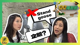 【英語學習】動物園中的動物英文是？丨黃愷怡丨林希靈丨尤蔭蔭丨猩猩補習班丨英語單字丨簡單英語丨粵語教學