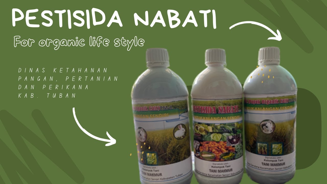 Cara Pembuatan Pestisida Nabati Non Kimia Alternatif Untuk Pertanian