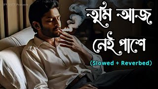 তুমি আজ নেই পাশে (Tumi Aaj Nei Pashe)💗 || Slowed and Reverbed || Lofi Version