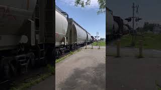 CN 402 at Trois-Pistoles (15:47) #train #cn #railway