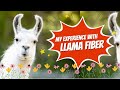 Scouring, preppins and spinning Llama - Camaj Fiber Arts