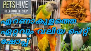 എറണാകുളത്തെ ഏറ്റവും വലിയ പെറ്റ് ഷോപ്പ് #Exotic pets#pet#fancy#shope#kerala#kochi