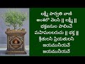 sri tulasi priya thulasi శ్రీ తులసి ప్రియ తులసి mangalaharathi by santhi sudha with lyrics kartika