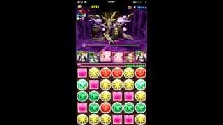 【パズドラ】　闇の歴龍　地獄級　LFクシナダヒメ