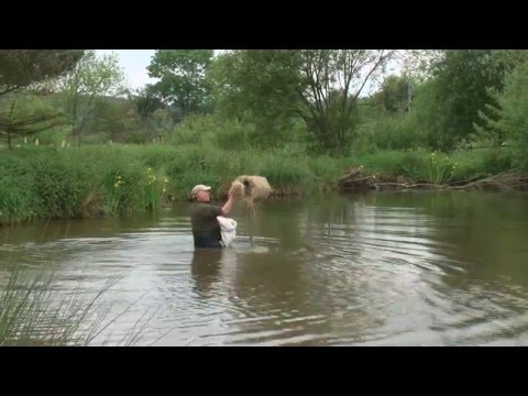 Duck Tubes and how to build them Duck Tubes and how to build them