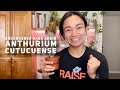 UNBOXING | ENDANGERED RARE AROID: ANTHURIUM CUTUCUENSE | SAY NO TO PLANT POACHING