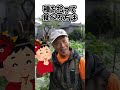 家庭菜園や農園の夏野菜栽培が終わったらやるべき撤去作業の注意点３選！ shorts【農家直伝】tips for releasing vegetables in summer