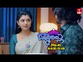 Bommarillu Latest Promo | Episode No 14 | 19th November 2024 | ETV Telugu