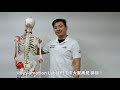 physiomotionlab 脊椎運動原則 上