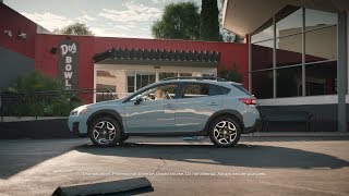 Drive Away |  Subaru Dog Tested TV Commercial