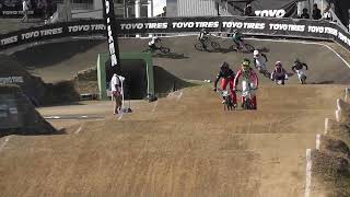 BMX　岸和田　ｼﾞｭﾆｱｵﾘﾝﾋﾟｯｸｶｯﾌﾟ　girls11-12　決勝　2024