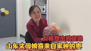 山东丈母娘寄来自家种的枣，女婿一口一个吃上瘾，想让包枣园致富