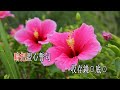 紅豆相思_何華棧 呂陳慧貞 音樂