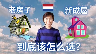 (Eng Subs) 荷兰 | 新房子vs老房子的差别 | 到底该怎么选？| Buying an old vs. new house in the Netherlands