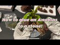 How to Glue an Anubias Plant to a Lava Rock Stone