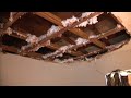 Ceiling collapses in family’s duplex in Deerfield Beach