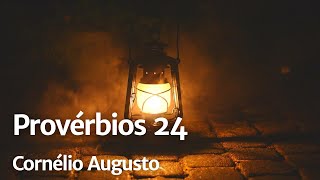 Bíblia Falada | Provérbios 24