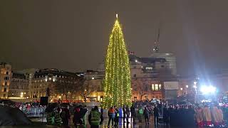 Christmas tree light switch on trafalgar square London  #trafalgarsquare