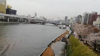 （隅田川に咲く桜🌸）普通北千住行き　すれ違い　特急りょうもう浅草行き　＃東武200系　＃東武10050系