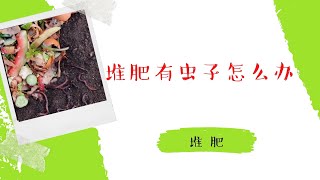 堆肥有虫子怎么办？