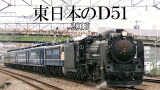 東日本のD51(2013)