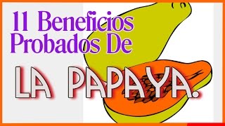 Beneficios de la papaya - Aquí 11 Beneficios Probados De la Papaya