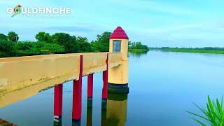 தஞ்சாவூருக்கு அருகில் இப்படி ஒரு சுற்றுலா தளமா! தென்பெரம்பூர் அணை - தஞ்சாவூர் | வெண்ணாறு | வெட்டாறு