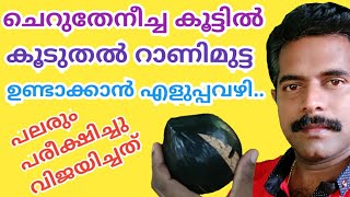 കൂടുതൽ ചെറുതേനീച്ച റാണിയെ ഉണ്ടാക്കാം/Make more stingless bee queen cells/Cherutheneecha valarthal