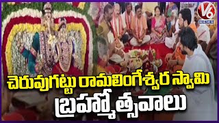 Cheruvugattu Jadala Ramalingeshwara Swamy Brahmosthavalu Granly Held | V6 News