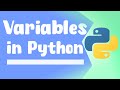 Python Variables Explained: Building Blocks of Code | ByteAdmin
