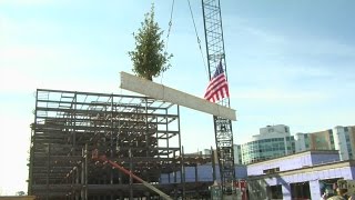 Comparing biggest NC cities: How Greenville and Jacksonville stack up