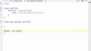 PHP Tutorial - 43 - Inheritance and Constructors