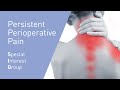 Chronic Postoperative Pain with the Persistent Perioperative Pain SIG