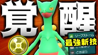 【ポケモンSV】初手に投げるだけで誰でも勝てる『ジュカイン』の起点作成力がやばすぎるｗ【 ポケモン ジュカイン  pokemon ゼロの秘宝 蒼の円盤  】