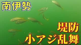 夏休み　南伊勢の堤防で何が釣れるか海中調査