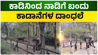 Kodagu | ಕಾಡಿನಿಂದ ನಾಡಿಗೆ ಬಂದ ದಾಂಧಲೆ ಮಾಡುತ್ತಿದ್ದ ಕಾಡಾನೆ ಸೆರೆ | Samaya News