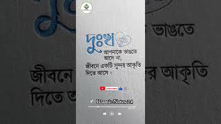 দুঃখ আপনাকে ভাঙতে আসে না, জীবনে একটি সুন্দর আকৃতি  #IslamicNotes24 #islamic #shorts