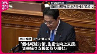 【国会で代表質問】物価高対策“低所得者支援”で議論