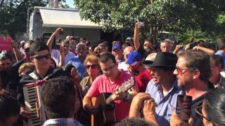 Homenagem ao José Rico - Paraná querido